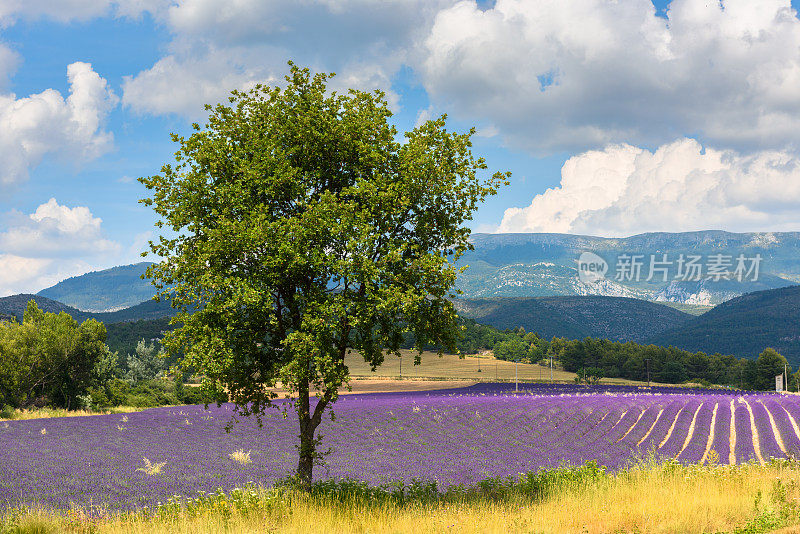 瓦伦索，Roumoules, Germany-en-Provence，诗歌诗人